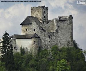 yapboz Niedzica Castle